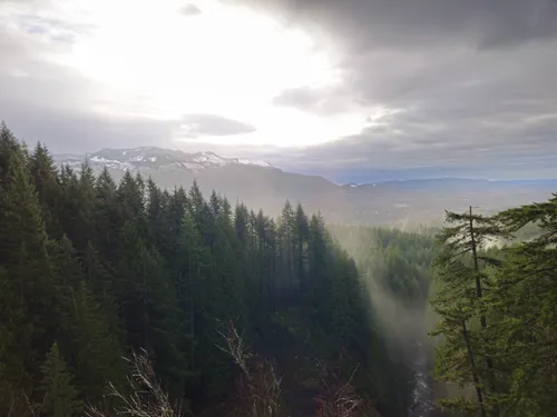Best Views Trails in Wallace Falls - EyJidWNrZXQiOiJhc3NldHMuYWxsdHJhaWxzLmNvbSIsImtleSI6InVwbG9hZHMvcGhvdG8vaW1hZ2UvNzA4OTMyNDgvNDZmMzRmNmYxOGE1ZjRmZGQyYzAwY2ZhY2U2NzRhOGYuanBnIiwiZWRpdHMiOnsidG9Gb3JtYXQiOiJ3ZWJwIiwicmVzaXplIjp7IndpZHRoIjo1MDAsImhlaWdodCI6NTAwLCJmaXQiOiJpbnNpZGUifSwicm90YXRlIjpudWxsLCJqcGVnIjp7InRyZWxsaXNRdWFudGlzYXRpb24iOnRydWUsIm92ZXJzaG9vdERlcmluZ2luZyI6dHJ1ZSwib3B0aW1pc2VTY2FucyI6dHJ1ZSwicXVhbnRpc2F0aW9uVGFibGUiOjN9fX0=