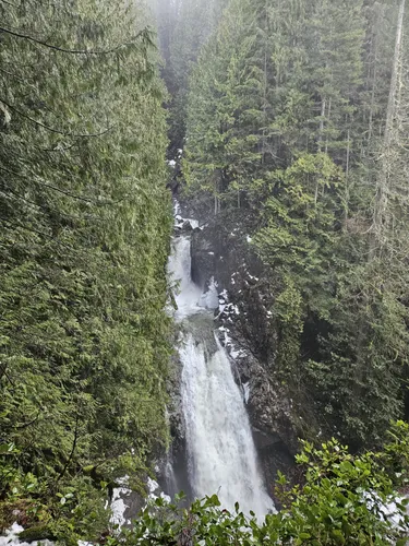 Best Views Trails in Wallace Falls - EyJidWNrZXQiOiJhc3NldHMuYWxsdHJhaWxzLmNvbSIsImtleSI6InVwbG9hZHMvcGhvdG8vaW1hZ2UvNzA4OTMyNTUvYWY5NTU4NTgwNTc4NDUzNmE1ZmNkYzViODIxZThmYTMuanBnIiwiZWRpdHMiOnsidG9Gb3JtYXQiOiJ3ZWJwIiwicmVzaXplIjp7IndpZHRoIjo1MDAsImhlaWdodCI6NTAwLCJmaXQiOiJpbnNpZGUifSwicm90YXRlIjpudWxsLCJqcGVnIjp7InRyZWxsaXNRdWFudGlzYXRpb24iOnRydWUsIm92ZXJzaG9vdERlcmluZ2luZyI6dHJ1ZSwib3B0aW1pc2VTY2FucyI6dHJ1ZSwicXVhbnRpc2F0aW9uVGFibGUiOjN9fX0=