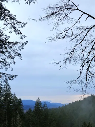 Best Views Trails in Wallace Falls - EyJidWNrZXQiOiJhc3NldHMuYWxsdHJhaWxzLmNvbSIsImtleSI6InVwbG9hZHMvcGhvdG8vaW1hZ2UvNzA4OTMyNTYvNGFlOTdlOTUwMWY5N2VlMDBkYjliOTcwNWNiN2JjOTEuanBnIiwiZWRpdHMiOnsidG9Gb3JtYXQiOiJ3ZWJwIiwicmVzaXplIjp7IndpZHRoIjo1MDAsImhlaWdodCI6NTAwLCJmaXQiOiJpbnNpZGUifSwicm90YXRlIjpudWxsLCJqcGVnIjp7InRyZWxsaXNRdWFudGlzYXRpb24iOnRydWUsIm92ZXJzaG9vdERlcmluZ2luZyI6dHJ1ZSwib3B0aW1pc2VTY2FucyI6dHJ1ZSwicXVhbnRpc2F0aW9uVGFibGUiOjN9fX0=