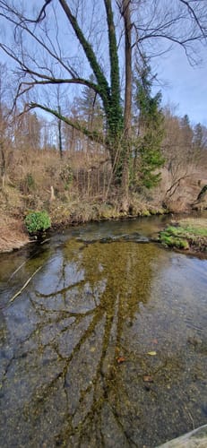 Rund um die Kaffeerösterei Martermühle