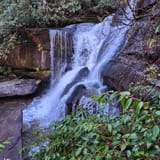 Butter Gap to Cat Gap Trail, North Carolina - 508 Reviews, Map | AllTrails