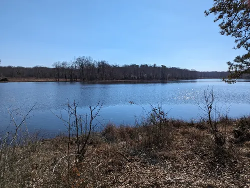 Best Hikes and Trails in Patuxent Research Refuge | AllTrails