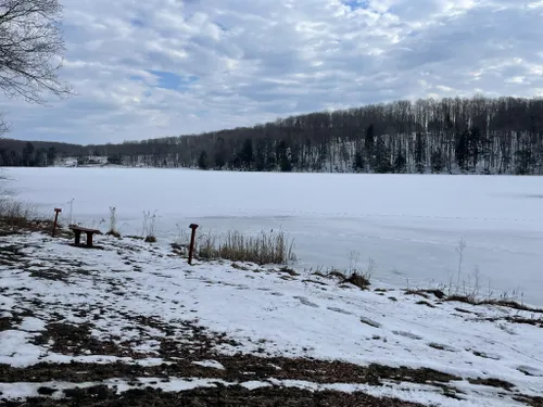 Best Hikes and Trails in Louis Groen Nature Preserve | AllTrails