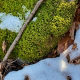 Raven Rocks via Appalachian Trail, Virginia - 5,759 Reviews, Map ...