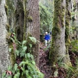 Whittaker wilderness clearance peak trail