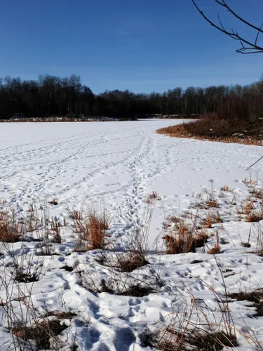 Benefits of Nature — Edmonton & Area Land Trust