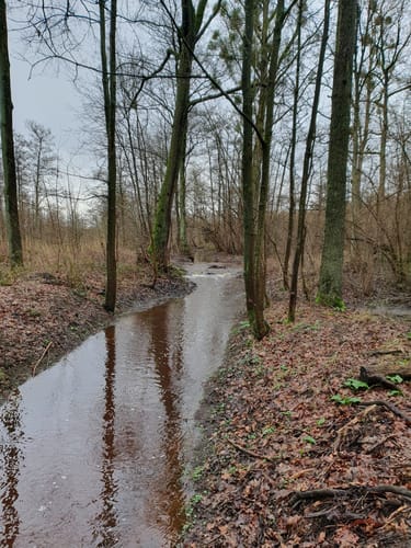 Angermunder See und Umgebung