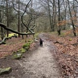 Cromford, High Peak Junction and Black Rocks Circular, Derbyshire ...