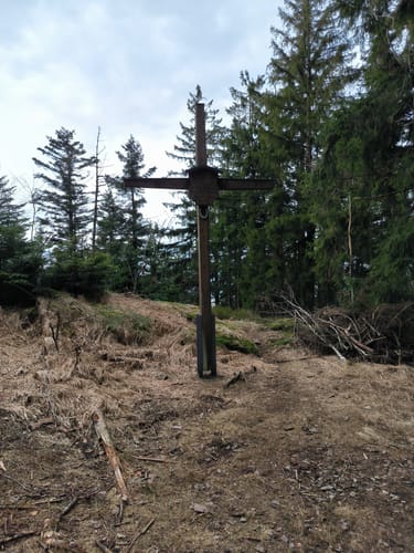 Zum Kaitersberg ab Reitenberg