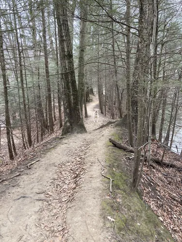 Robinson state best sale park mountain biking
