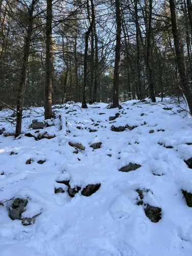 Best Walking Trails In Raymond B Winter State Park | AllTrails