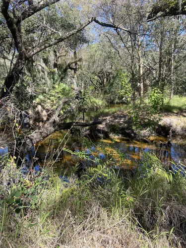 Best Hikes and Trails in Bullfrog Creek Wildlife and Environmental Area ...