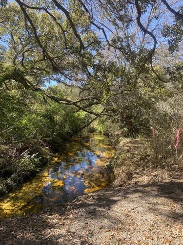 Best Hikes and Trails in Bullfrog Creek Wildlife and Environmental Area ...