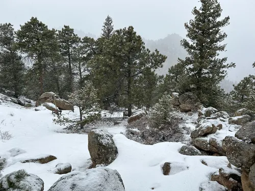 Best hikes hotsell in poudre canyon