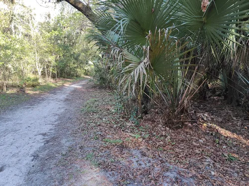 Spring 2025 hammock preserve