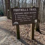 Raven Cliff Falls and Dismal Trail Loop, South Carolina - 1,888 Reviews ...