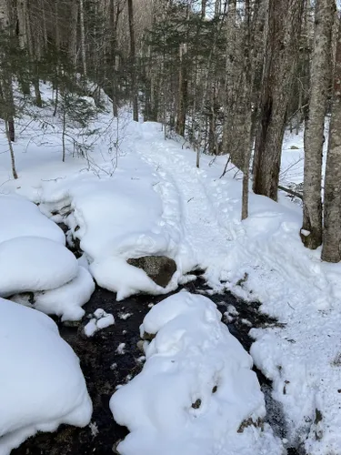 Best Waterfall Trails in Bethlehem | AllTrails