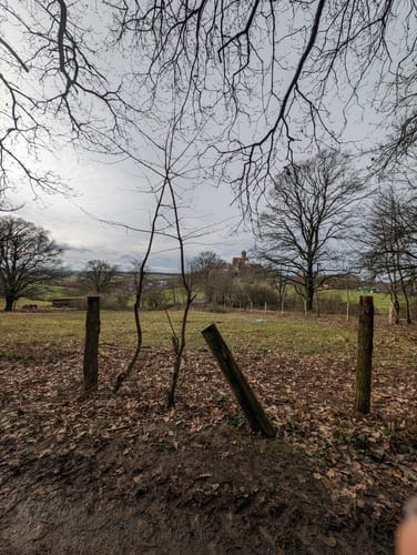 Wanderweg Ronneburger Wald Nr.3