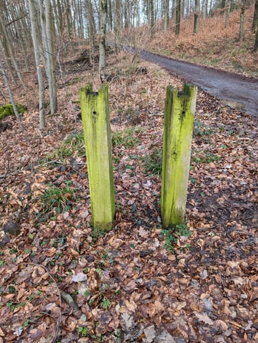 Wanderweg Ronneburger Wald Nr.3