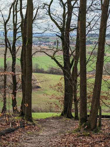 Wanderweg Ronneburger Wald Nr.3