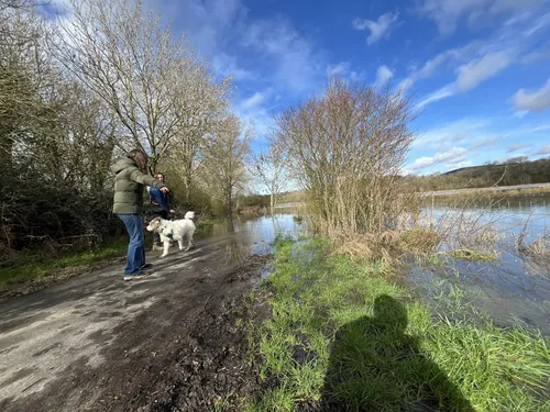 Dog walking lakes near hot sale me