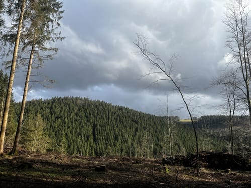 Rund um den Kahlen Asten