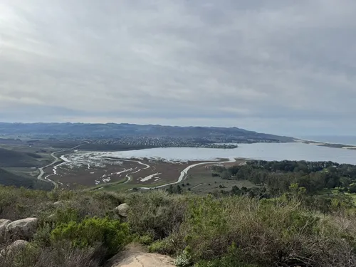 Morro bay state top park hiking