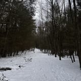 Hackers Falls and Cliff Trail Loop, Pennsylvania - 1,757 Reviews, Map ...