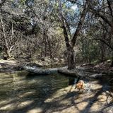 Turkey Creek Trail, This seldom used trail offers vistas an…