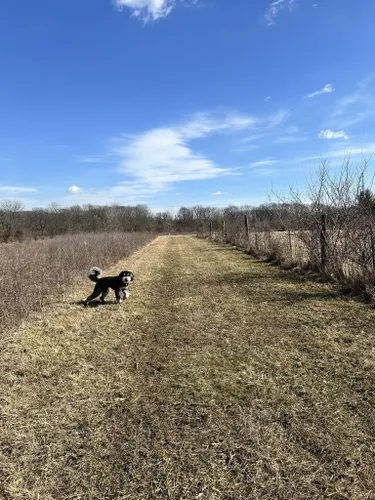 Best Hikes and Trails in Lemon Lake County Park | AllTrails