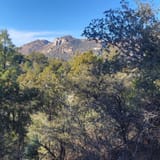 Balancing Rock Trail, Arizona - 624 Reviews, Map | AllTrails