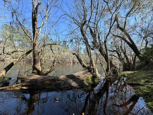 Long Branch Trail, Big Shoals State Park – Florida Hikes