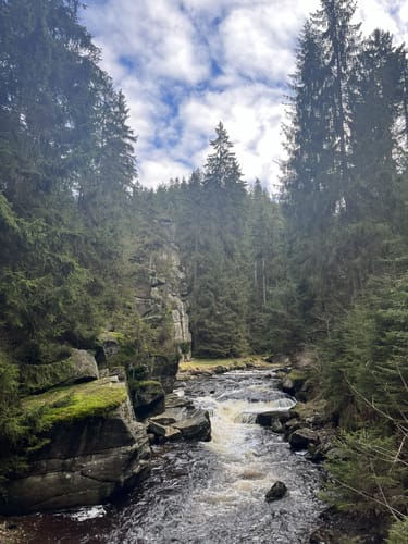 Im Schwarzwassertal