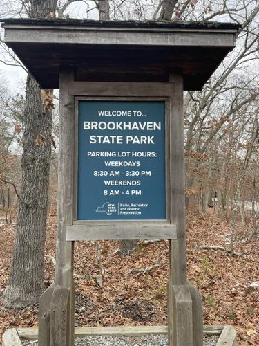 4 of the Best Hiking Trails Near Brookhaven, MS – Stan King GM SuperStore  Blog