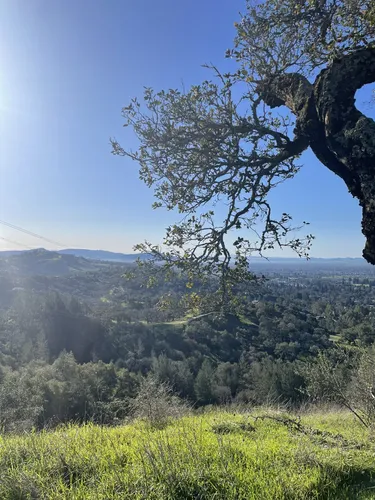 Best Moderate Trails in Shiloh Ranch Regional Park | AllTrails