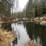 Round Lake Trail, Idaho - 648 Reviews, Map | AllTrails