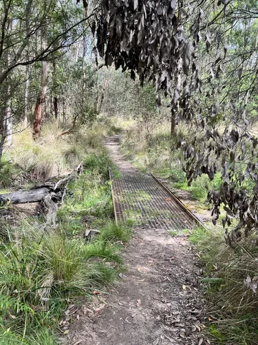 Best Camping Trails in Staughton Vale AllTrails