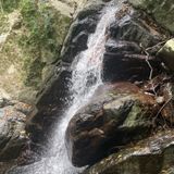 Cedar Creek Falls and Love Creek Falls, Queensland, Australia - 323 ...