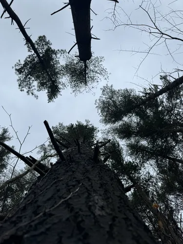 West discount branch mtb