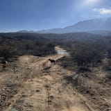 Chiva Falls Trail, Arizona - 356 Reviews, Map | AllTrails