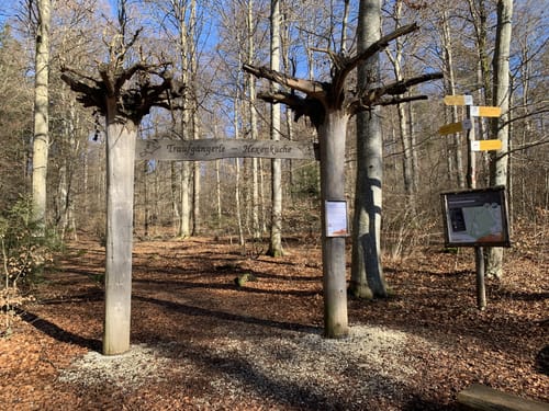 Hexenküche (Premiumspazierwanderweg)