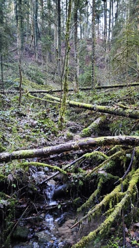 Von Laufenmühle über Althütte und Ebnisee