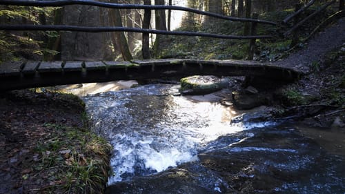 Von Laufenmühle über Althütte und Ebnisee