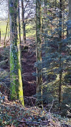 Von Laufenmühle über Althütte und Ebnisee