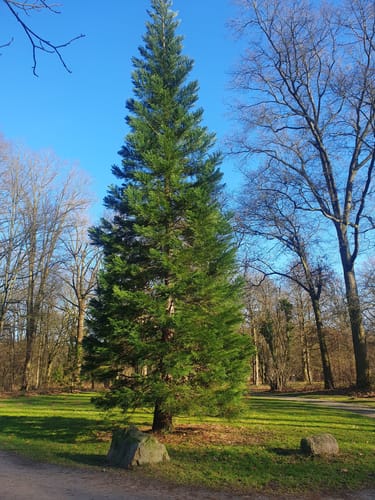 Kurpark Bad Salfulzen