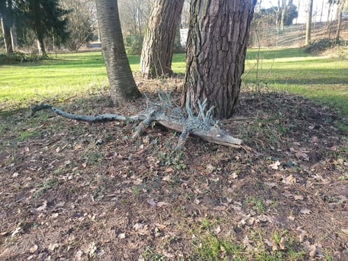 Kurpark Bad Salfulzen