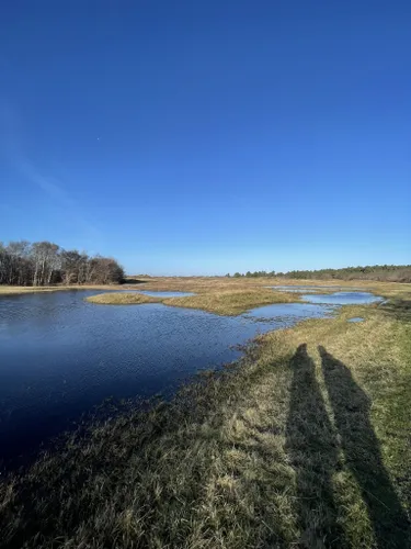 10 Best Hikes And Trails In Schiermonnikoog National Park | AllTrails