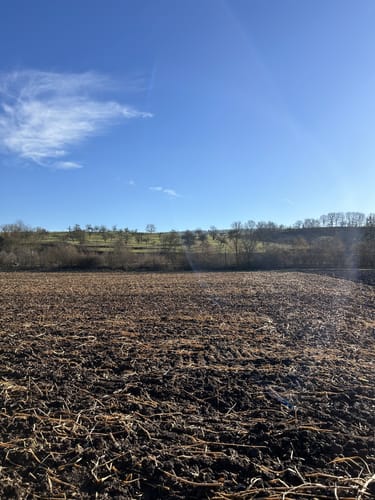 ZA2 Seenweg - Wanderdreiklang Zaberfeld