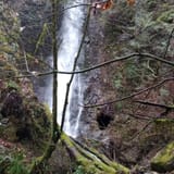 Explorer Falls, Washington - 671 Reviews, Map | AllTrails