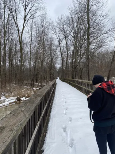 Addison oaks mountain online bike trail